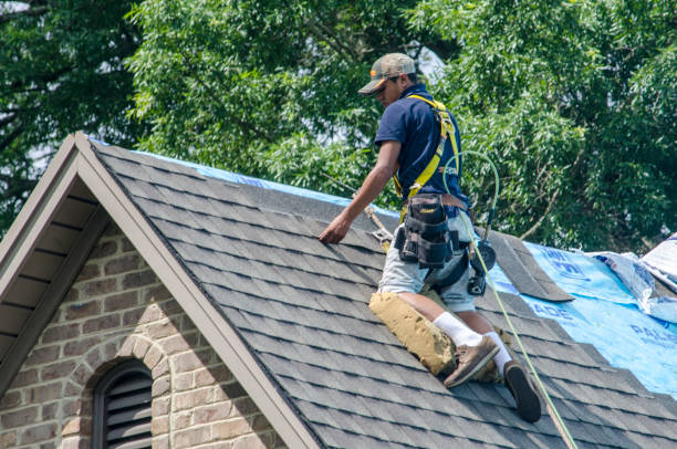 Best Roof Gutter Cleaning  in Callahan, FL